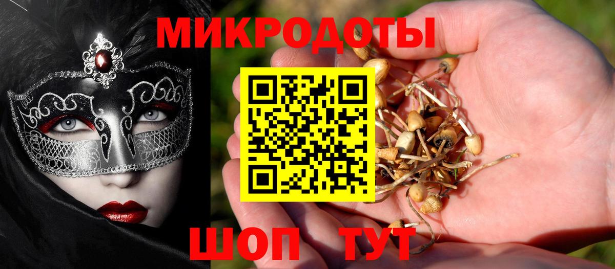 как найти наркотики  Вход с VPN  Городец  Галлюциногенные грибы мухоморы 