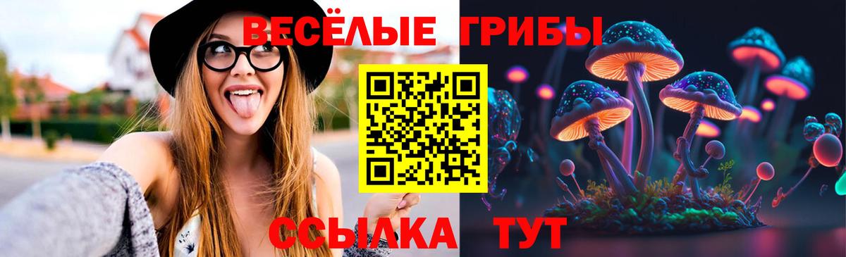Галлюциногенные грибы ЛСД Городец